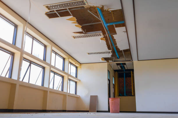 Best Commercial water damage restoration  in Albion, IN