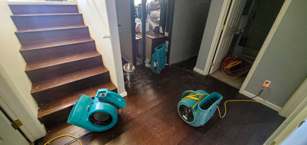 Best Ceiling water damage repair  in Albion, IN