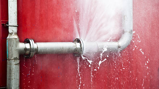 Best Flood damage cleanup  in Albion, IN